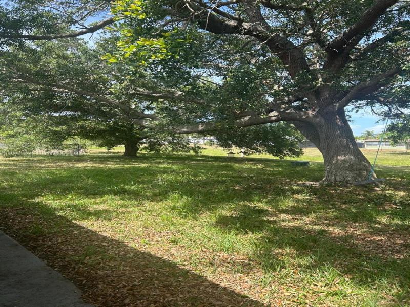 Property photo # 8