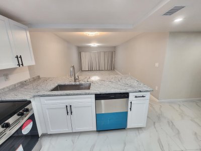 Icon Brickell Viceroy Apt #204a