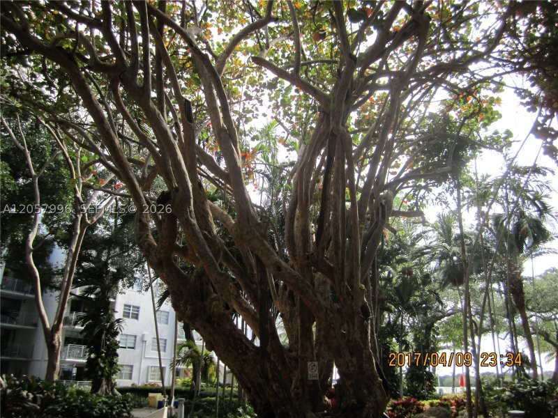 Aluguel de apartamento no Nirvana 1 A415