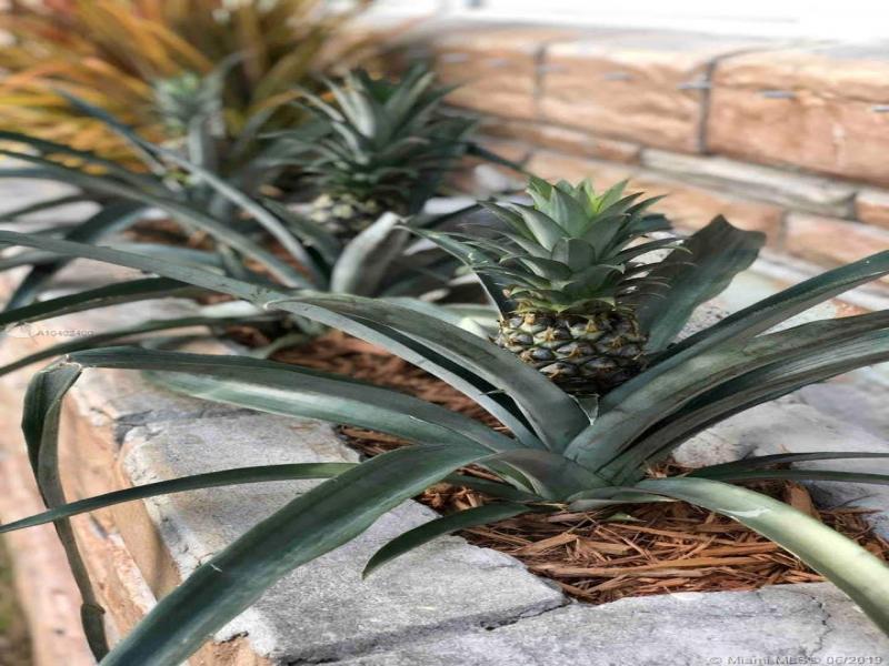 Property photo # 7