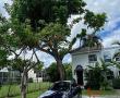 Property photo # 0