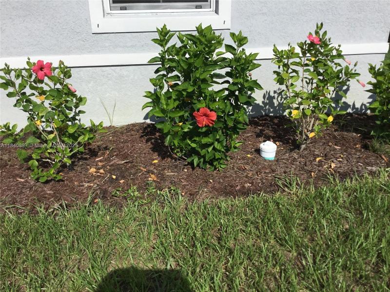 Property photo # 4