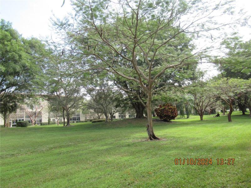 Property photo # 4
