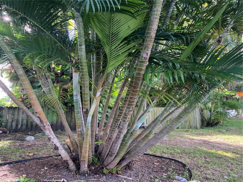 Property photo # 0