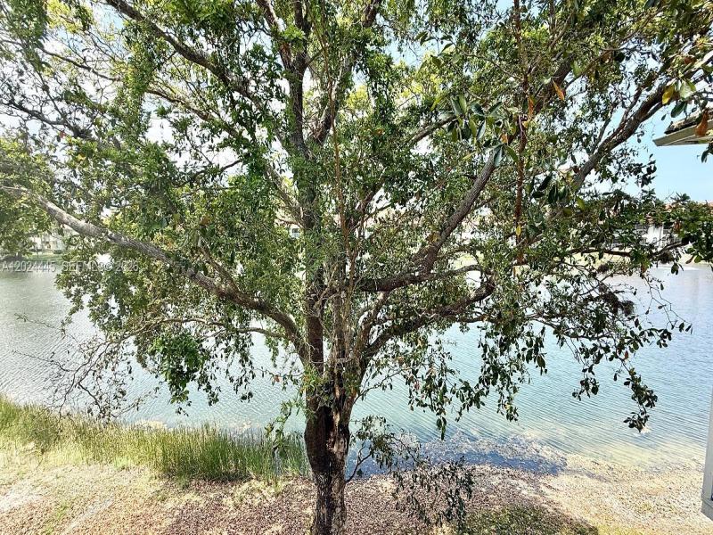 Property photo # 9