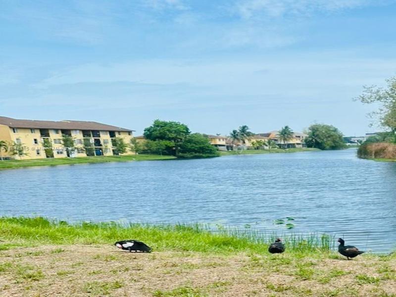 Property photo # 8