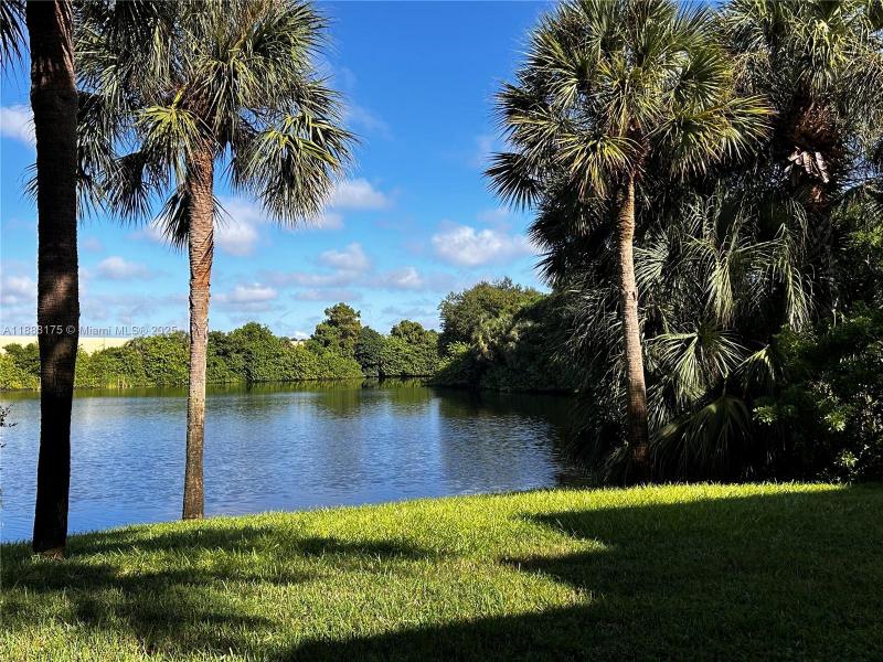 Property photo # 4