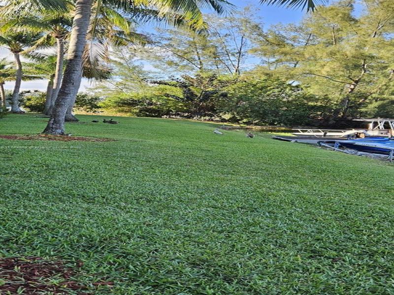 Property photo # 3
