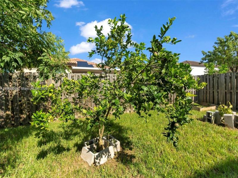 Property photo # 6