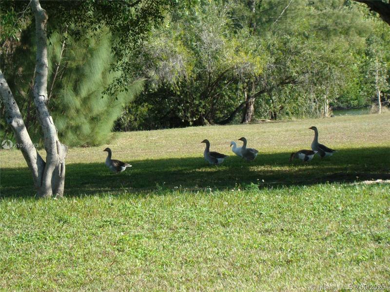 Property photo # 3