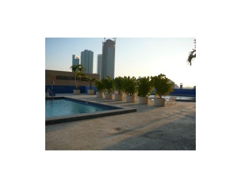 Condos for sale at The Venetia