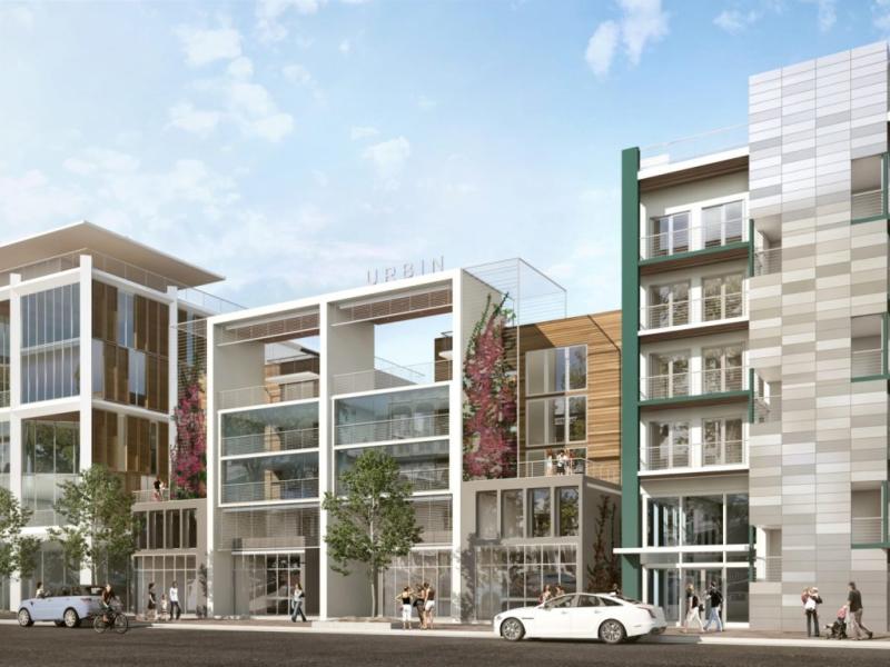 Apartments for rent in Coconut Grove