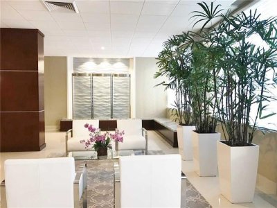 Aluguel de apartamento no Galt Towers 15a