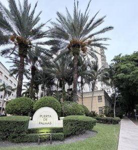 Puerta De Palmas Apt #1015