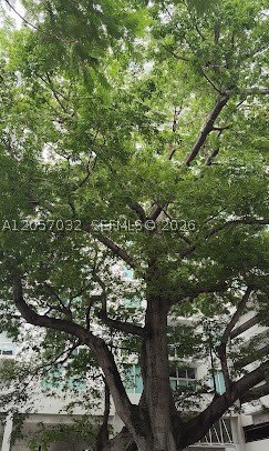 Apartment for rent at Terrazas 2310