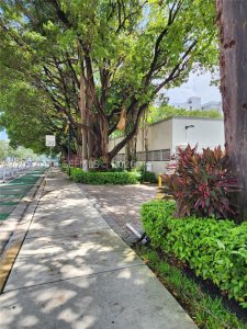 West Bay Plaza Apt #506