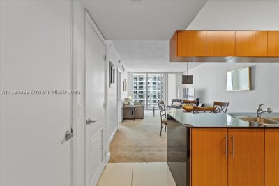 Opera Tower Apt #4809