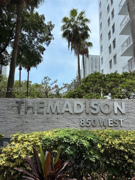 Apartment for rent at Madison Miami W-406