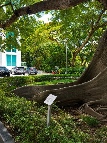Comprar apartamento en Terrazas 801