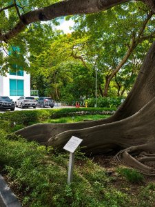 Comprar apartamento en Terrazas 801