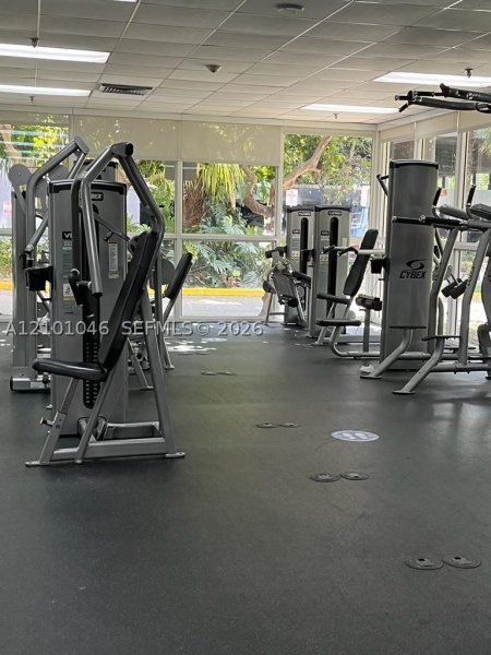 Aluguel de apartamento no Madison Miami E-1006