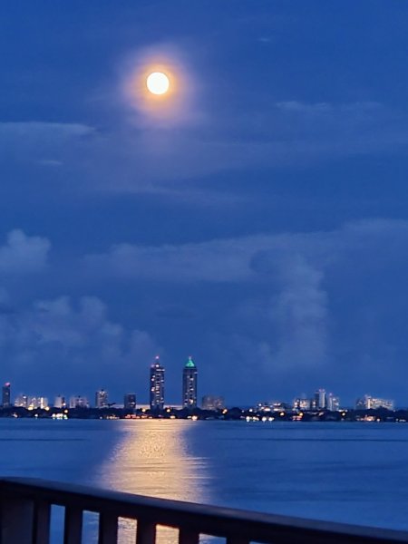 Condo for sale at Palm Bay Yacht Club 1707