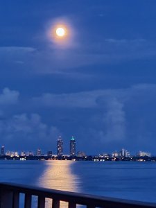 Comprar apartamento en Palm Bay Yacht Club 1707