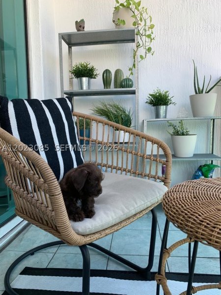 Apartment for rent at The Plaza Tower II 1503