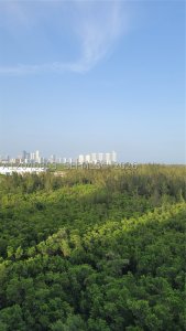 Alquiler de apartamento en One Fifty One at Biscayne 1105