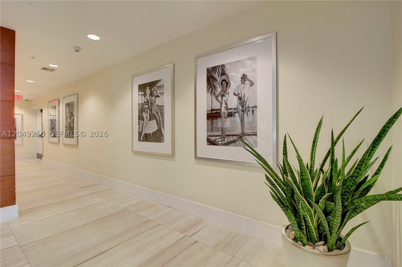 Apartment for rent at Terrazas 1804