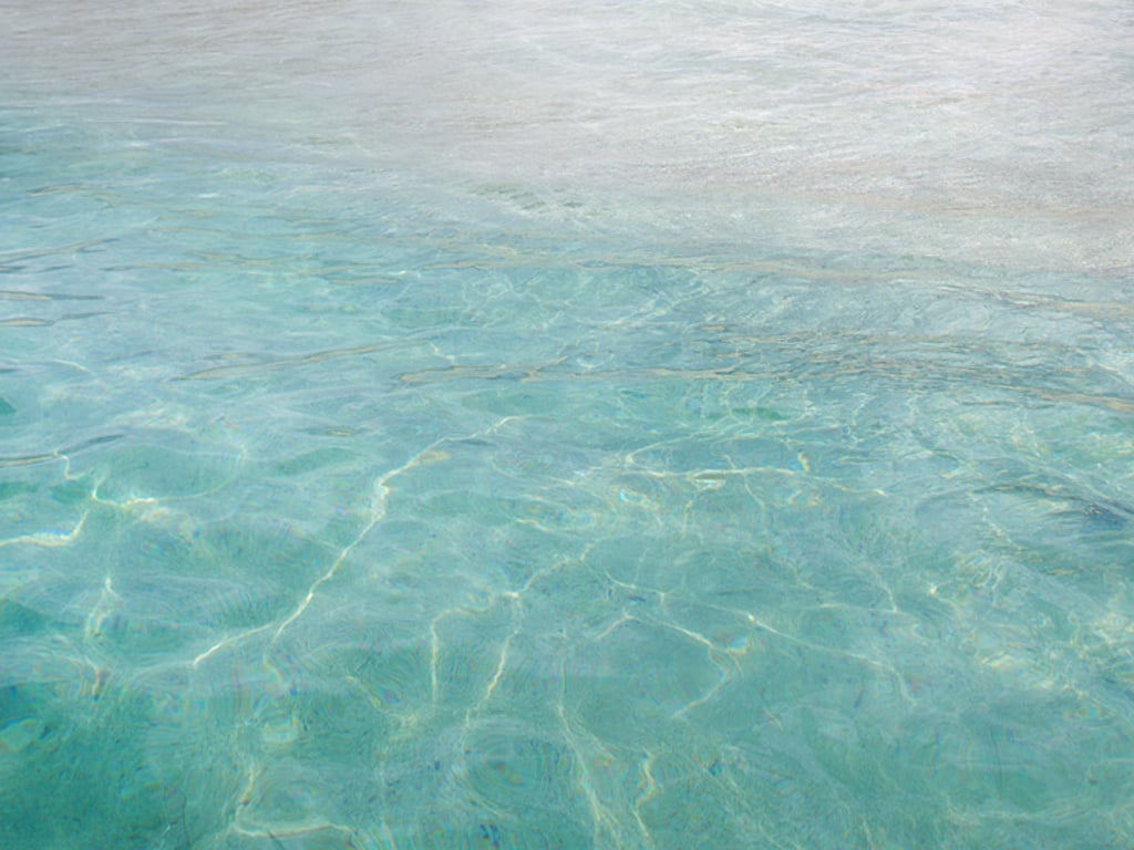 apartamento en alquiler en The Surf Club Four Seasons Condo & Hotel