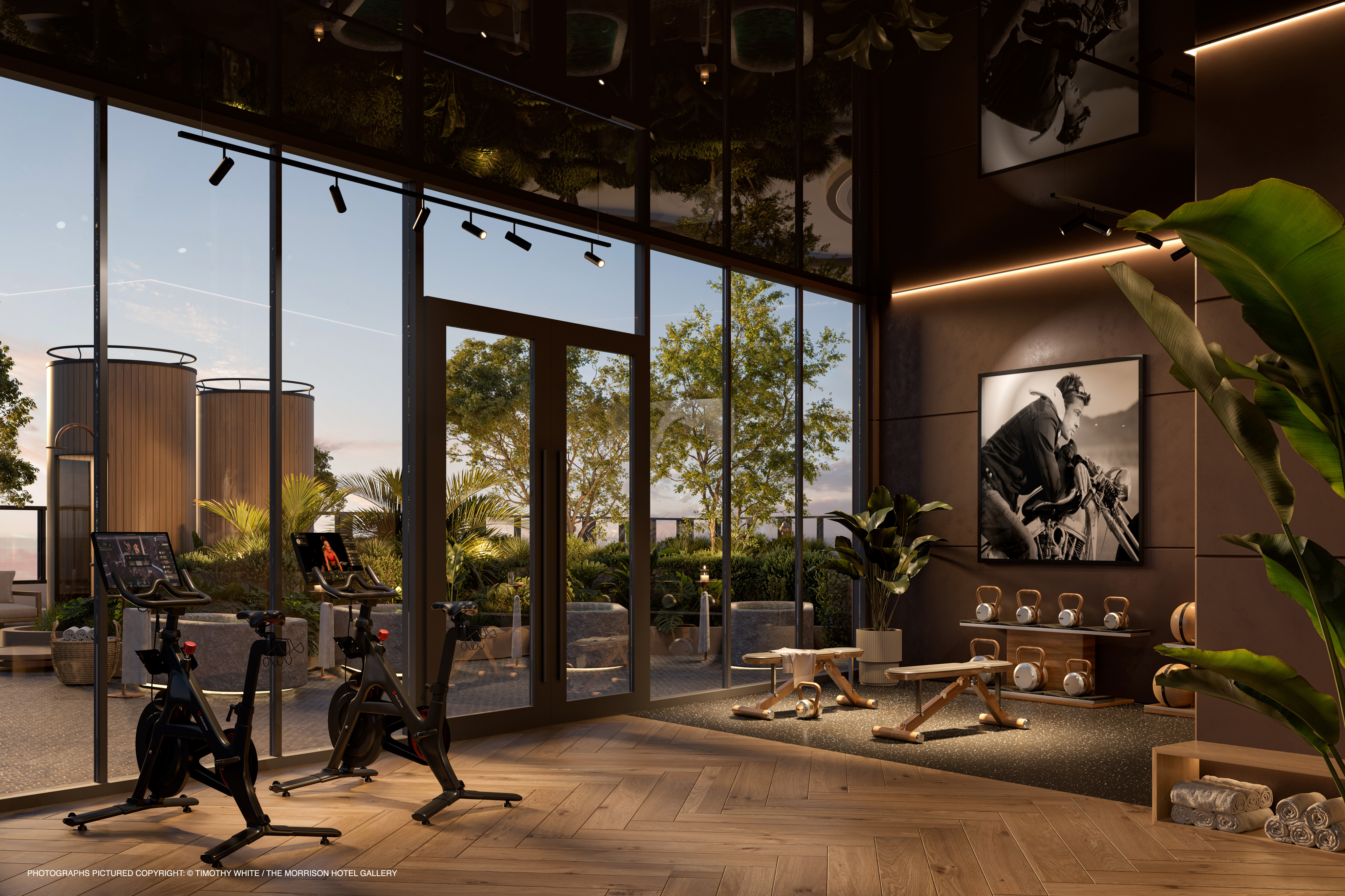 The Rider Residences for Lease. Rent a Condo in Wynwood